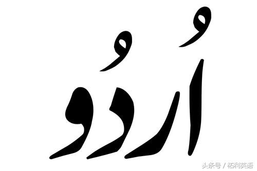 现在最流行的计算机语言,世界最流行语言排行榜