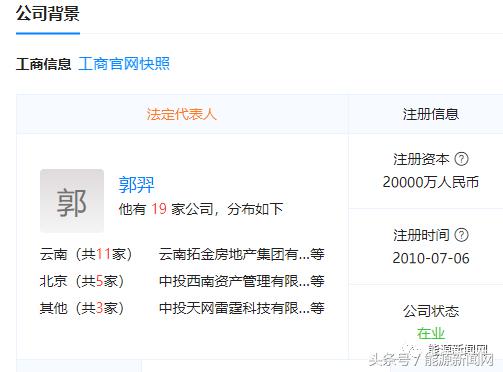 非法*储吸**！新能源“民族英雄”跌落神坛