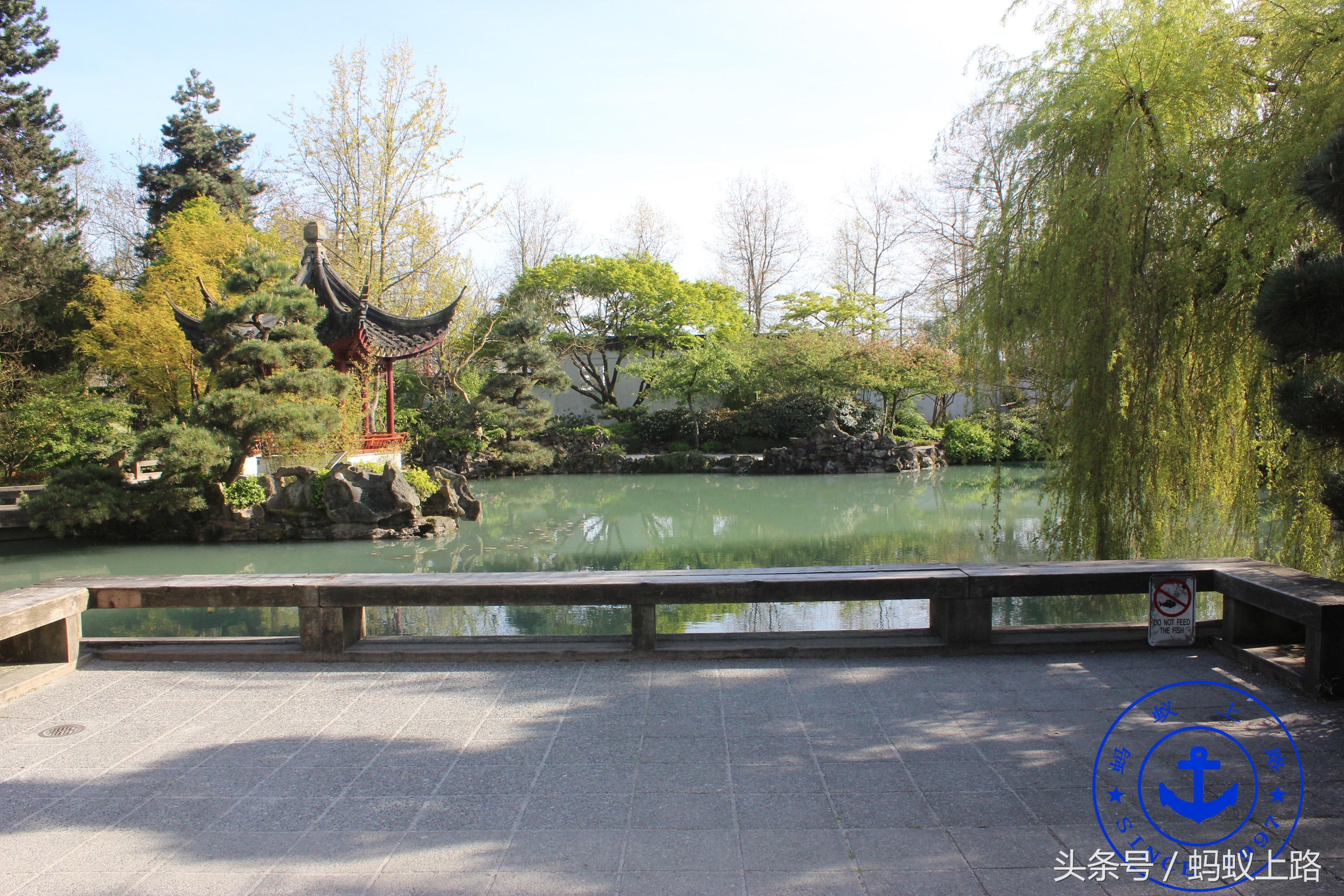 加拿大温哥华唐人街图片,加拿大温哥华唐人街