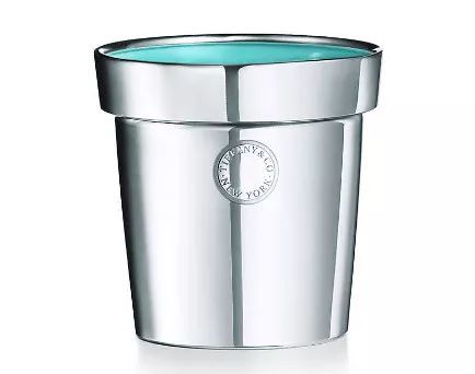 还记得你们吐槽过的Tiffany曲别针吗？王菲把它变成了耳环！