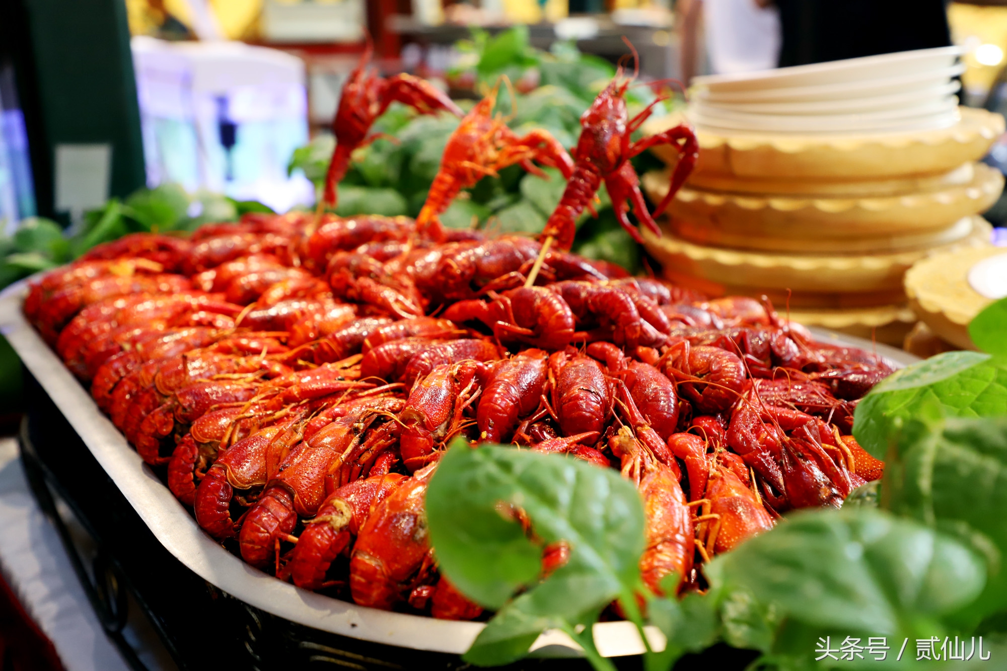 北京花家怡园四合院总店电话,四合院花家怡园