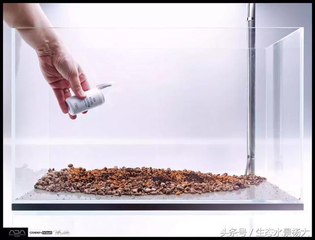 ada草缸造景什么意思,ada造景大赛60缸