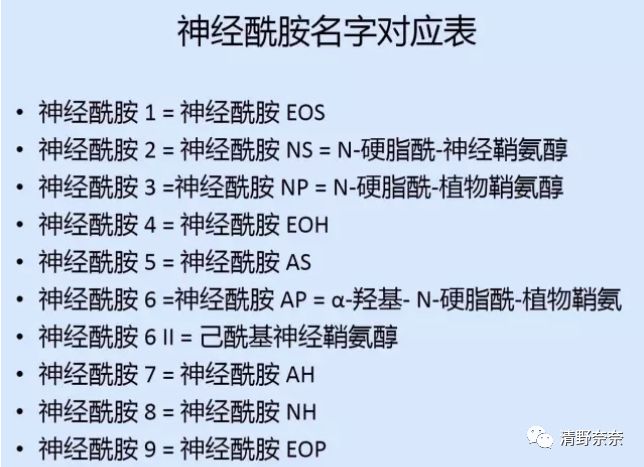 神经酰胺护肤品推荐排行榜前十名,平价好用神经酰胺
