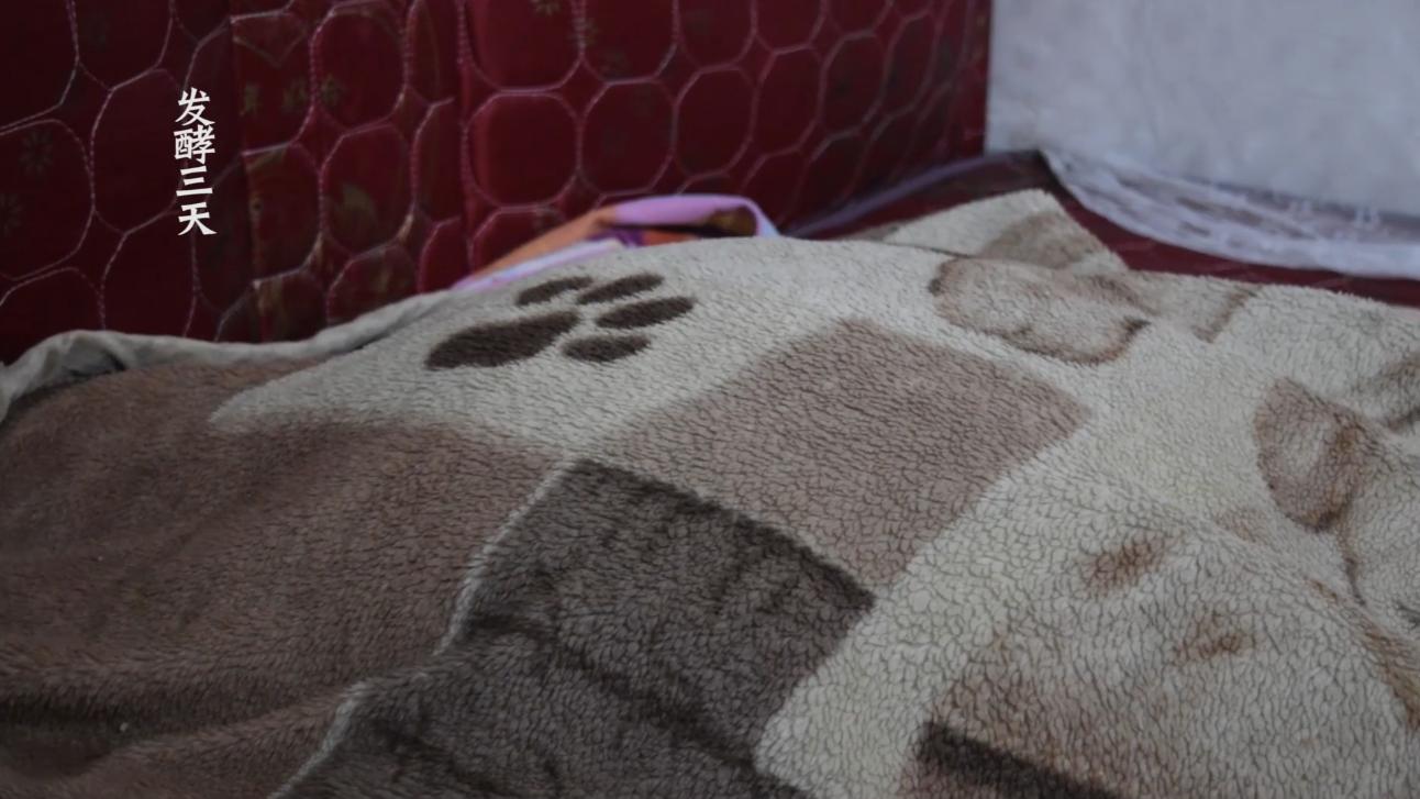 教你怎么在家制作糯米酒,农村阿姨教你做糯米酒