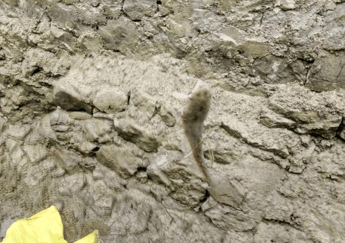 溶洞里流出来的泉水,溶洞溪水流入水中