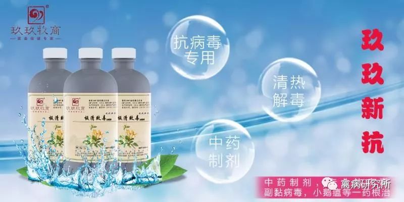 小鹅瘟发病视频,小鹅苗近期生病是什么原因