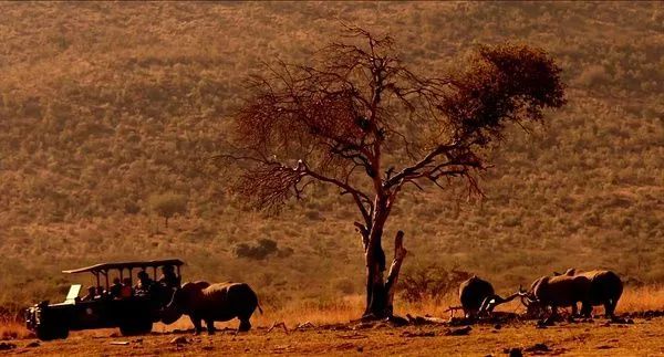 11部高分治愈电影推荐,盘点11部豆瓣3分以下的电视剧