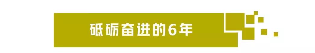 国产硬派越野品牌有哪些,技术一流越野车视频
