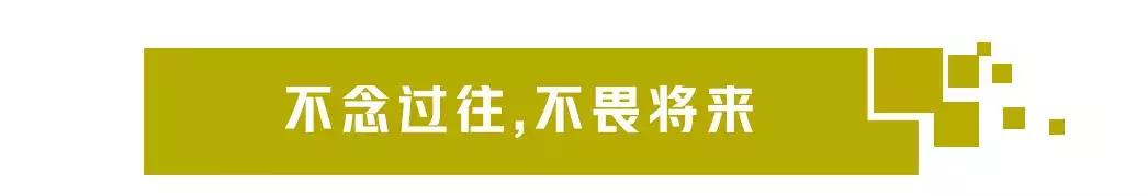 国产硬派越野品牌有哪些,技术一流越野车视频