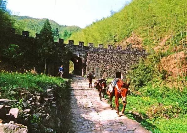 浙江最南端一座低调又迷人的小城,浙江最美隐世小城