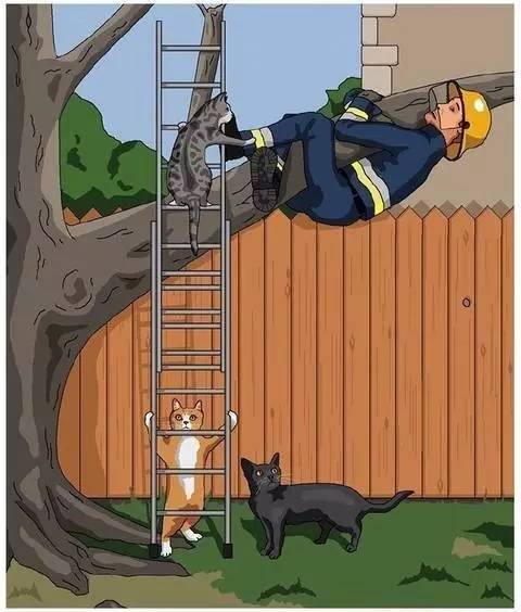 当人肉被动物从超市买回来……