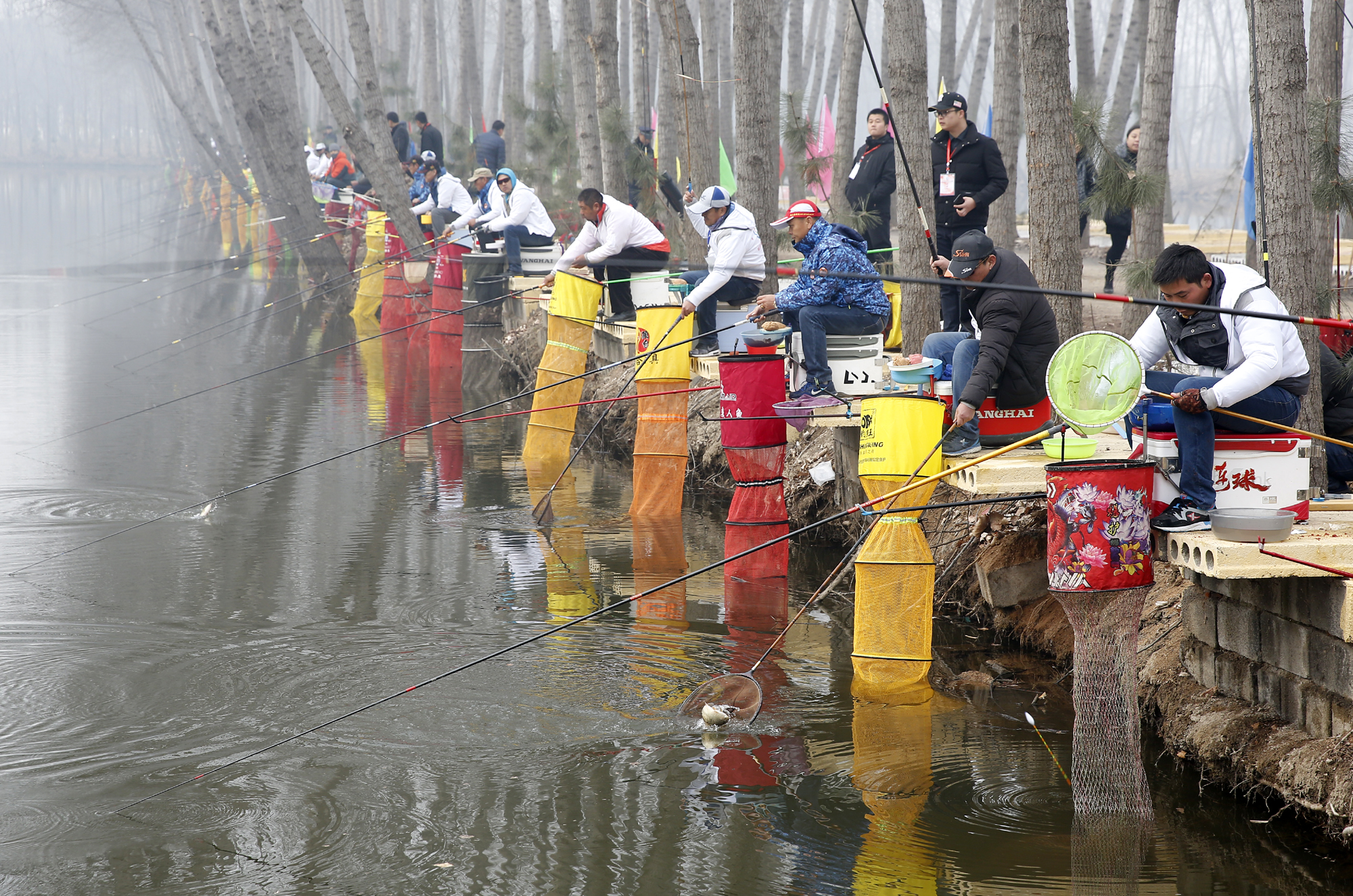 滕州微山湖红荷湿地开幕式直播,枣庄滕州微山湖湿地红荷节
