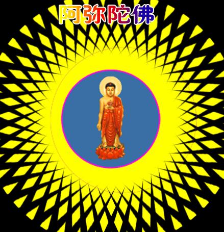 野子和田玉,野子吐露心声