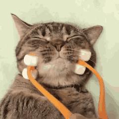 小林制药好物上新推荐,小林制药有哪些好东西推荐