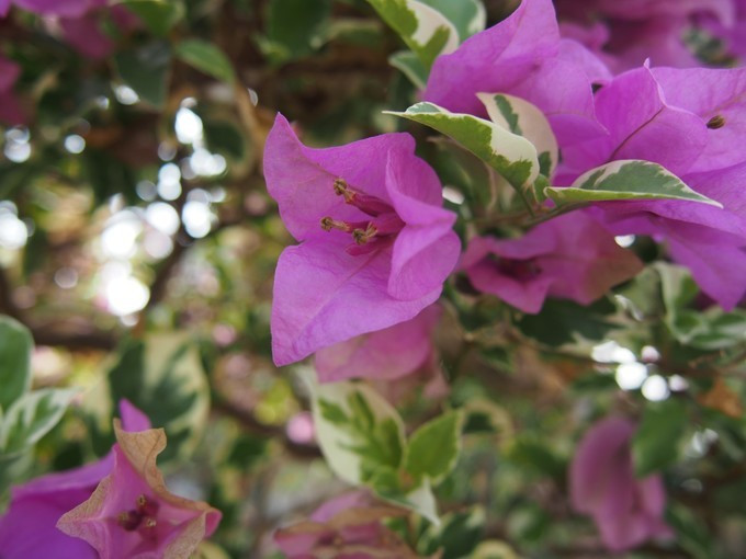 七夕去哪儿约会附近,七夕三亚旅游攻略