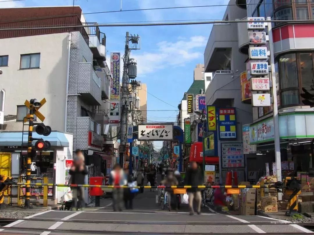 寻找世界各地的日本人,日本东京最值得去的地方