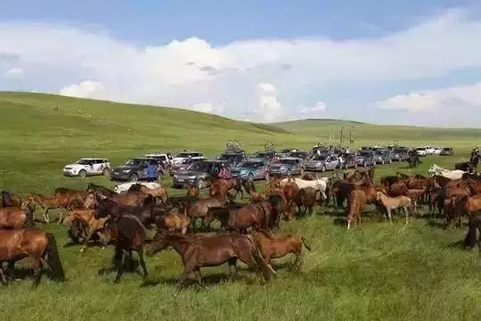 浙江各市豪车排名,浙江县级市豪车排行榜