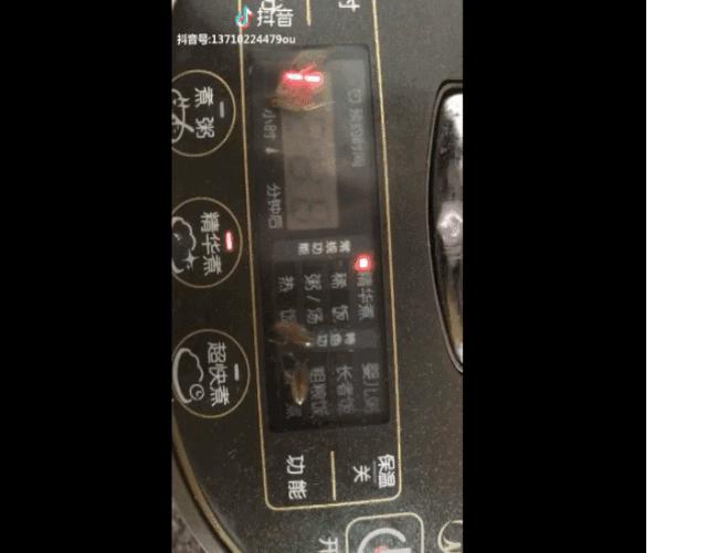 用了这么多年才知道电饭锅还能洗,用了2年电饭锅有膜