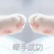 “小心机绿道”、2万盏芦苇灯……沙河城市公园月底开放，美skr人！