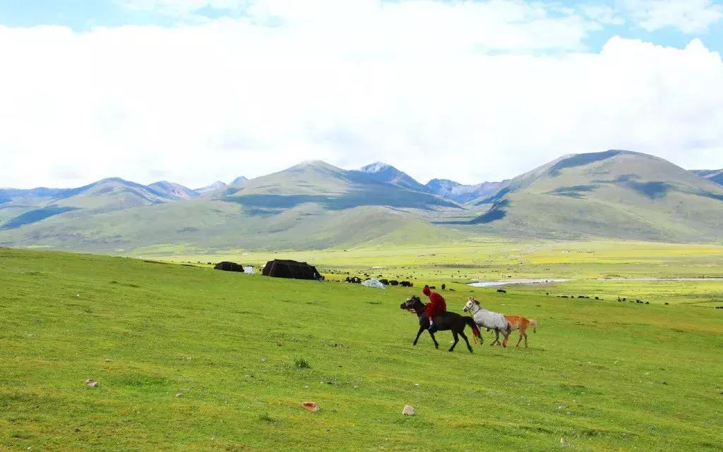 川西旅游若尔盖大草原,川西旅游攻略若尔盖草原