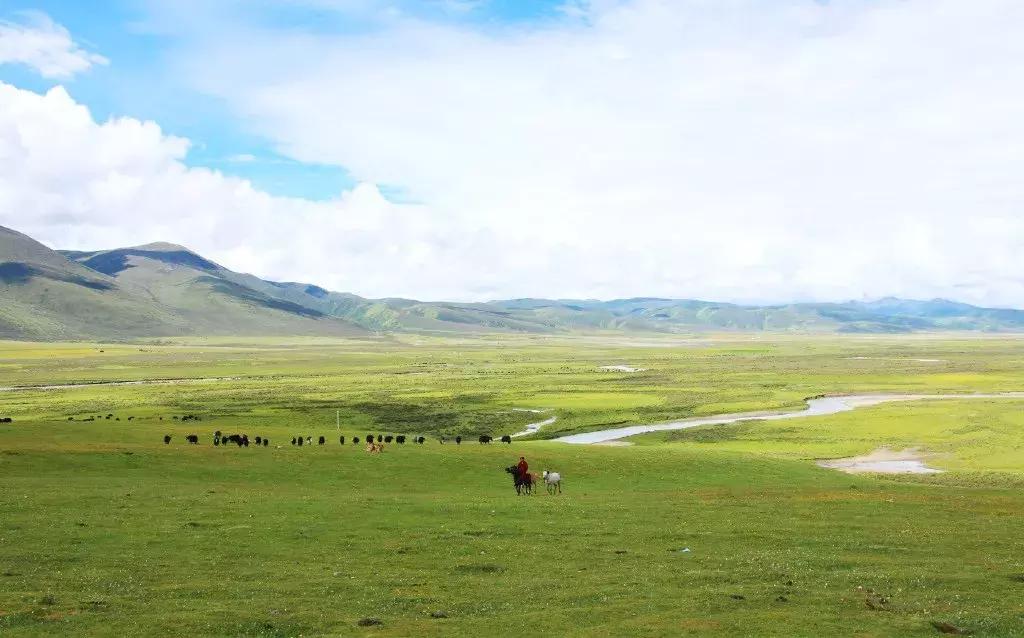 秒杀若尔盖！川西有个官方认定的最美草原，景美人少不收门票！