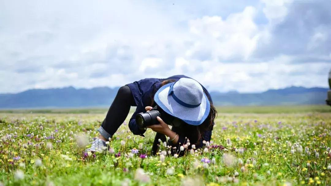 秒杀若尔盖！川西有个官方认定的最美草原，景美人少不收门票！