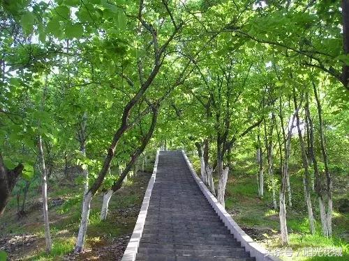 攀枝花的路有多陡,攀枝花最陡的坡