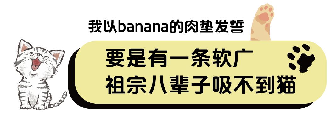 国货猫粮推荐测评,经典猫粮测评推荐