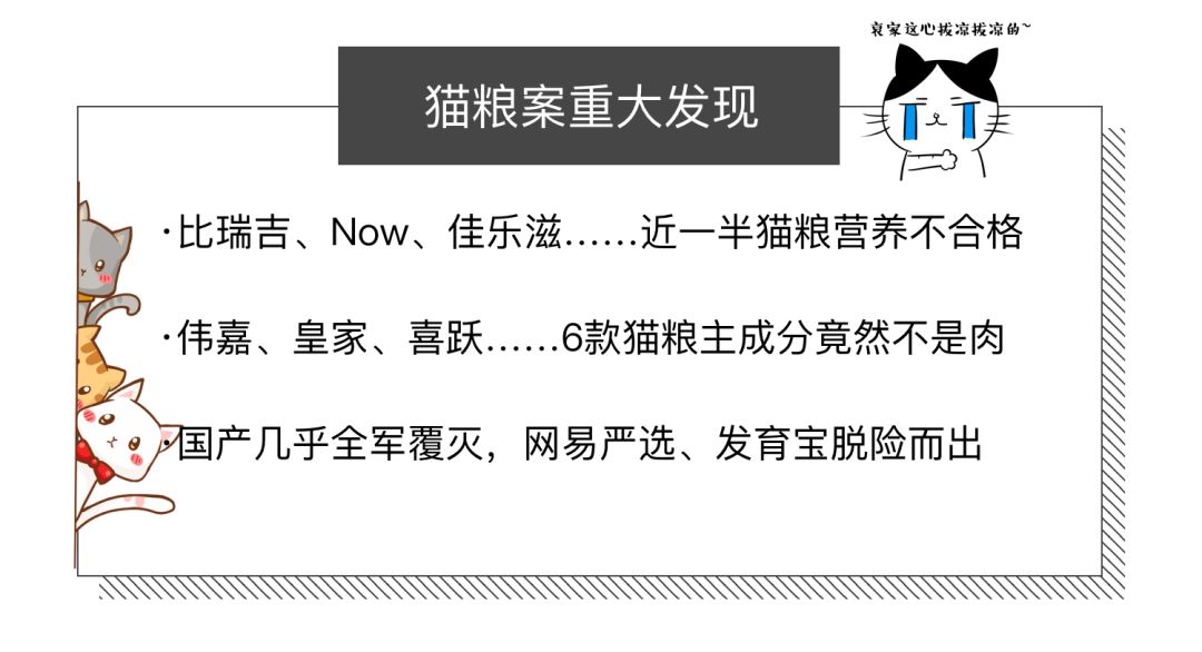 国货猫粮推荐测评,经典猫粮测评推荐