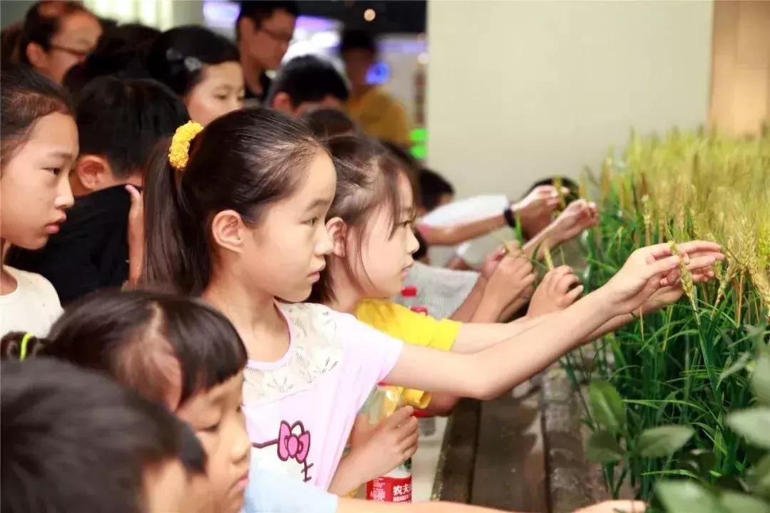 你要的“小鲜肉”来了，大家都说“棒棒哒”