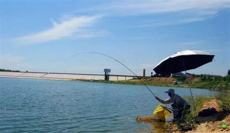 钓鱼技巧甩竿,钓鱼甩竿小技巧视频完整版