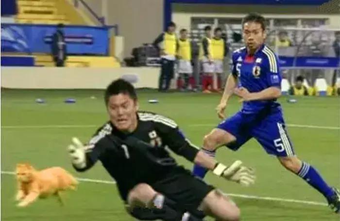 日本足球守门员扑球,日本足球守门员