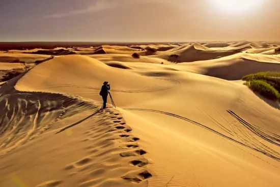 通辽市重磅新闻,通辽发布最新消息