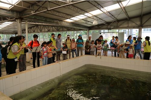 无套路旅游,无套路观看全集