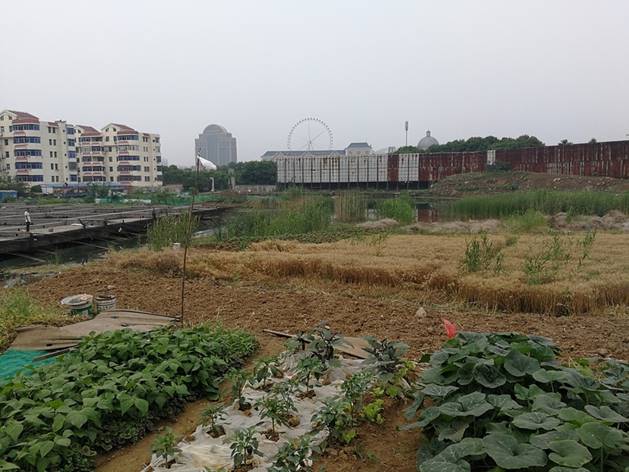 10年多的老腊肉,10年以上老腊肉