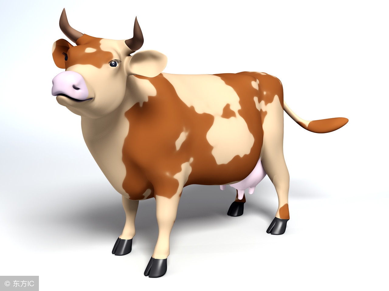 十二属相婚配表鸡,十二属相婚配顺口溜