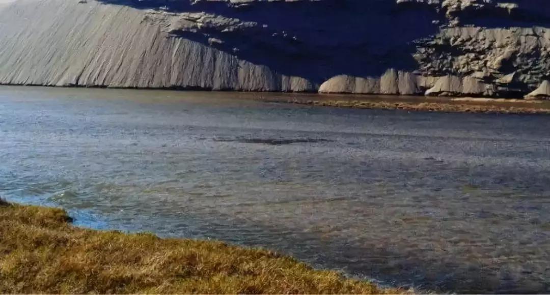 蚂蚁沙漠种树,蚂蚁森林沙漠种树航拍