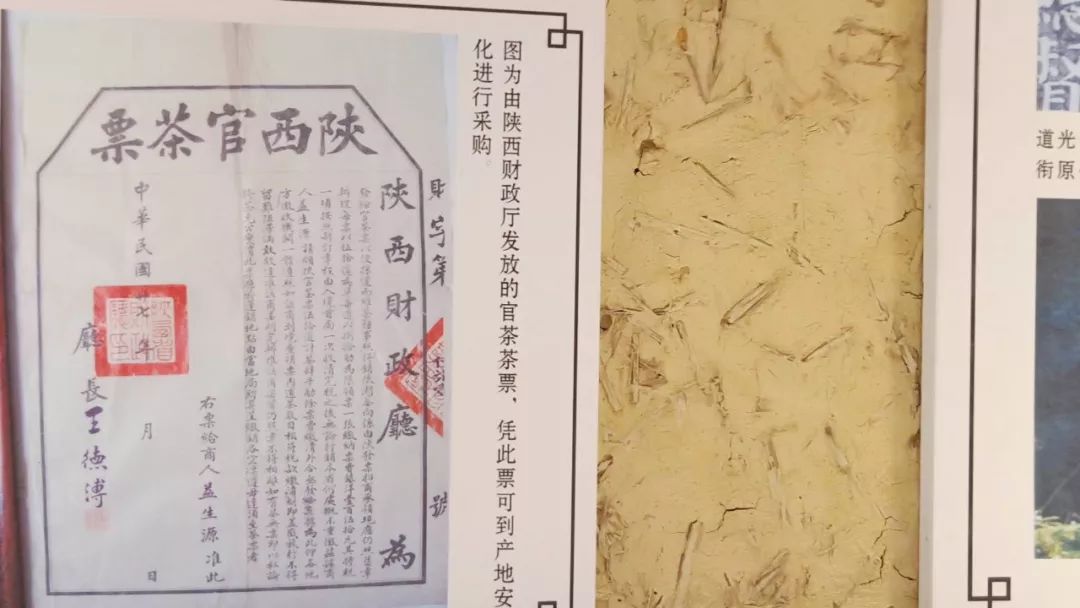 茶有金花还能喝吗,茶里的金花是怎么回事