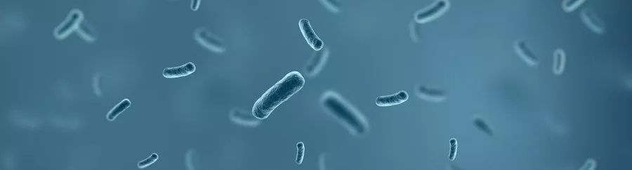 癌症病人发烧吃什么退烧,癌症病人发烧到38-39度是怎么回事