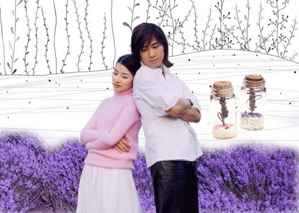 等待爱情的薰衣草：不养一盆怎么对得起你的童年回忆