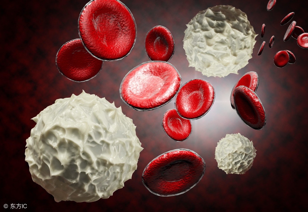 白细胞低中医饮食怎么调理,白细胞偏低要吃什么来调养