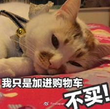 一波踩雷的心情——秘密化妆间日本美妆护肤拔草特集