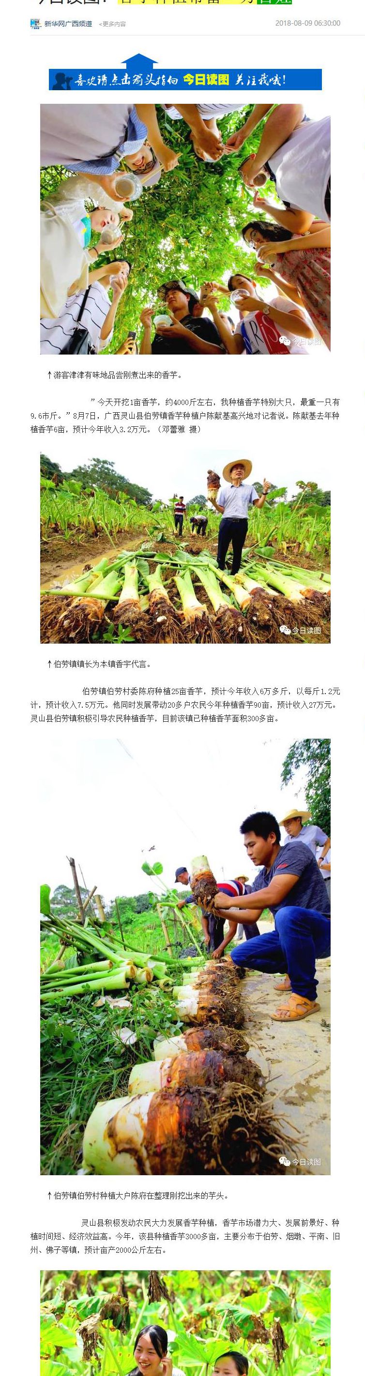 头条号原创被抄袭,头条号作品被抄袭