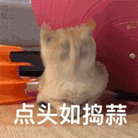 淘宝客服面对的疑难杂症 (淘宝客服一直不会说话)