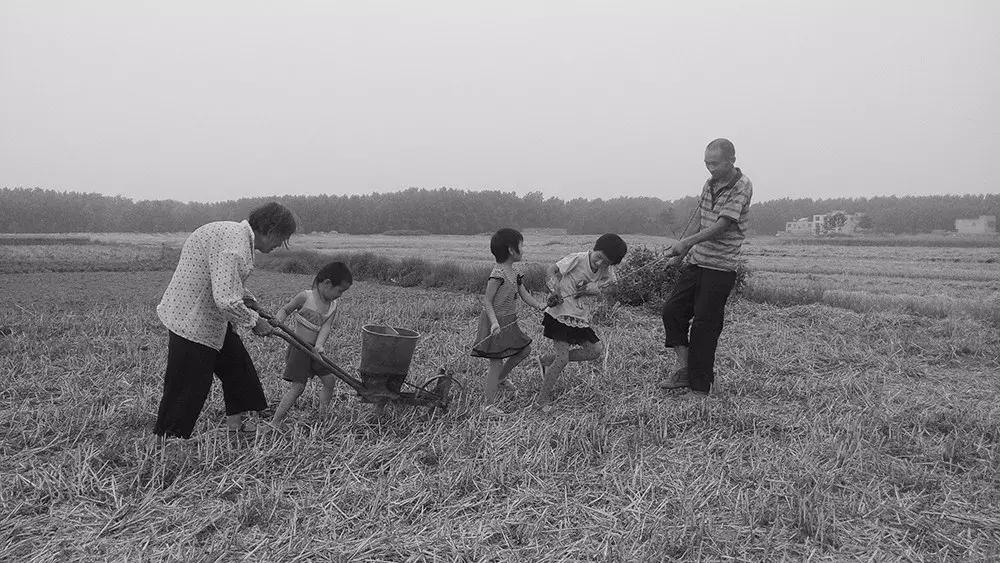 来看看哪些摄影作品入选27届国展,一月最佳手机摄影作品评选