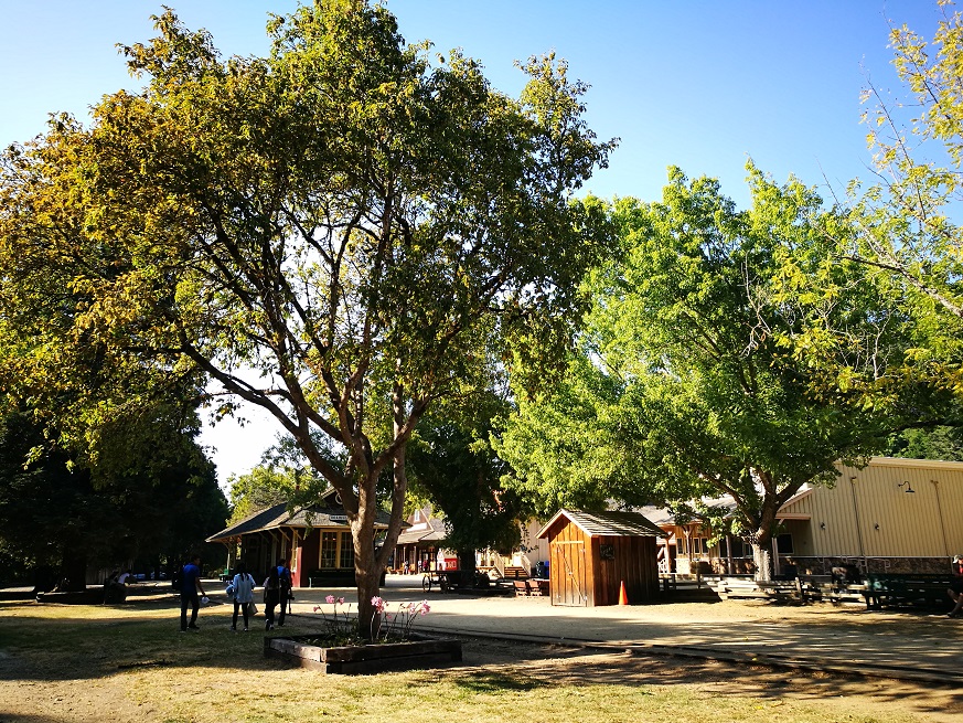 原始森林房车游记,红杉林房车自驾游