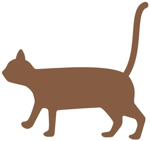 里拉大跌，快来享受“舌尖上的土耳其”