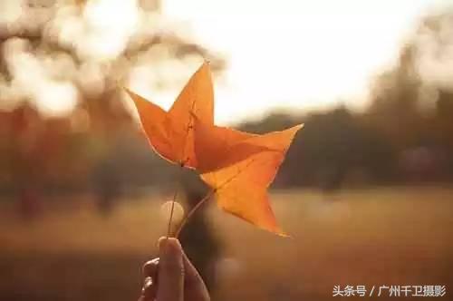 鐩告満鍗曞弽鍩虹鏁欑▼,70d鍗曞弽鐩告満鍩虹鏁欑▼