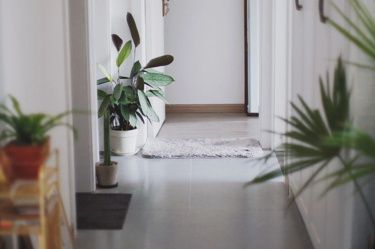 马赛克轻奢家庭装修,小清新北欧风装修