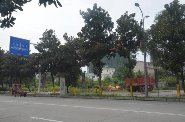 绵阳中元广场楼盘缺点,绵阳福阳广场二手房